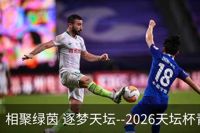 相聚绿茵 逐梦天坛--2026天坛杯青少年足球交流火热开启